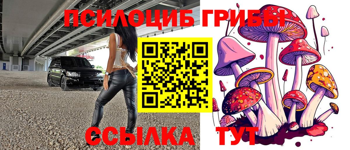 Псилоцибиновые грибы MAGIC MUSHROOMS  Вход с VPN  где можно купить   Донецк 