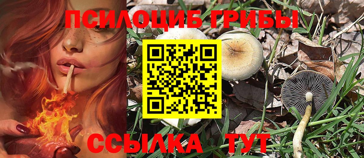 Галлюциногенные грибы ЛСД Донецк